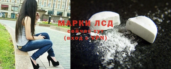 индика Лагань