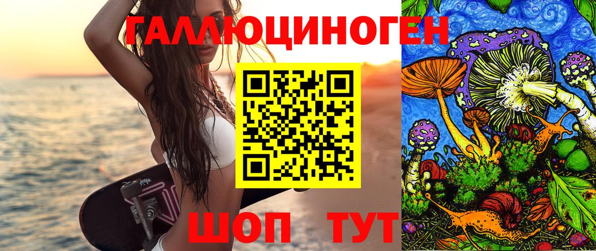 Псилоцибиновые грибы Psilocybe Сарапул